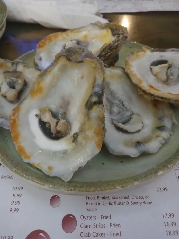 Chicago Oysters